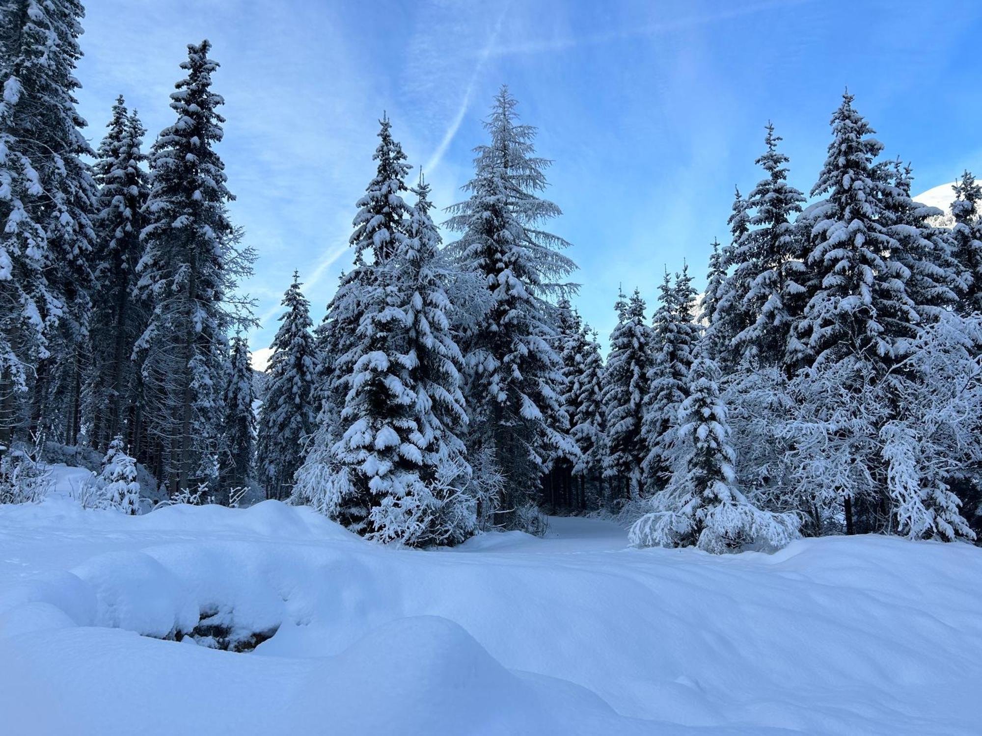 Haus Waldblick Apartment Hopfgarten in Defereggen ภายนอก รูปภาพ